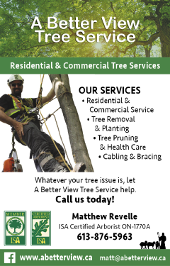 A better View Tree Service