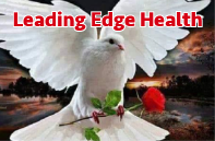 002 VI23 Leading Edge Health logo