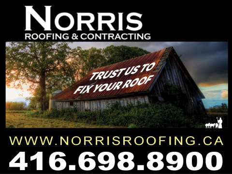 107 TO23 Norris Roofing