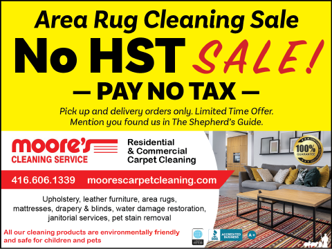 TO22 23 coupon Moores Cleaning Service