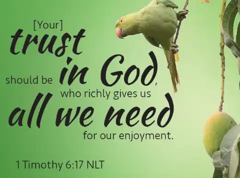 8622 1 Timothy 6 17 Trust in God