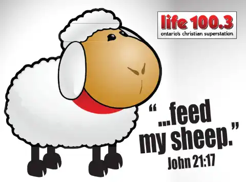 Feed My Sheep Life 100.3 Ontario