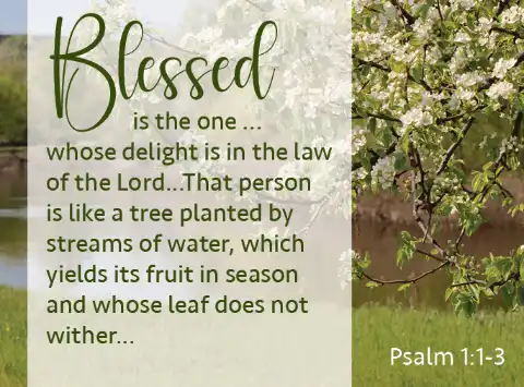 8977 Psalm 1 1 3 blessed is the one whose delight 2