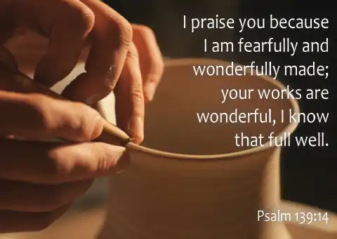 8899 Psalm 139 14 Wonderfully Made