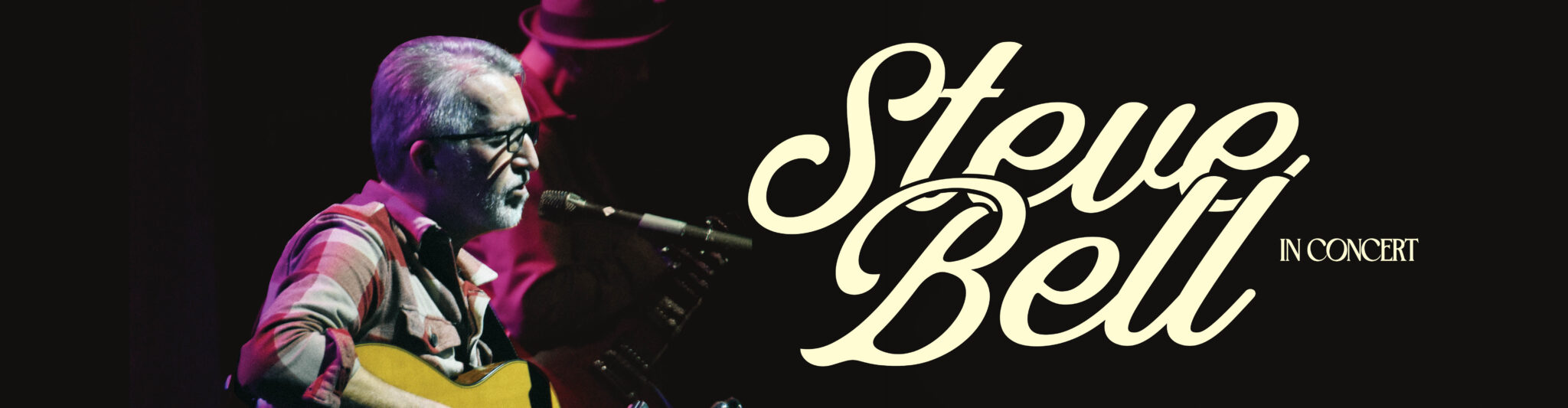 Steve Bell in Concert